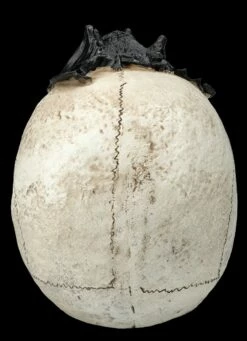 Totenkopf Mit Fledermaus -FIGUREN Verkäufe FS25693 Totenkopf mit Fledermaus 6 1280x1280