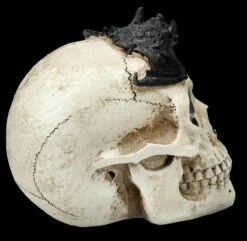 Totenkopf Mit Fledermaus -FIGUREN Verkäufe FS25693 Totenkopf mit Fledermaus 8 1280x1280