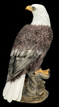 Adler Figur - Amerikanischer Weißkopfseeadler -FIGUREN Verkäufe FS25794 Adler Figur Amerikanischer Weisskopfseeadler 5 1280x1280