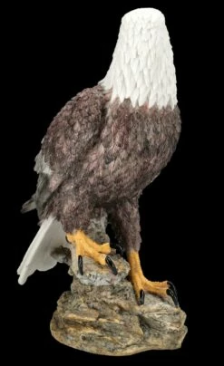 Adler Figur - Amerikanischer Weißkopfseeadler -FIGUREN Verkäufe FS25794 Adler Figur Amerikanischer Weisskopfseeadler 7 1280x1280