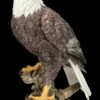 Adler Figur - Amerikanischer Weißkopfseeadler -FIGUREN Verkäufe FS25794 Adler Figur Amerikanischer Weisskopfseeadler 9 1280x1280