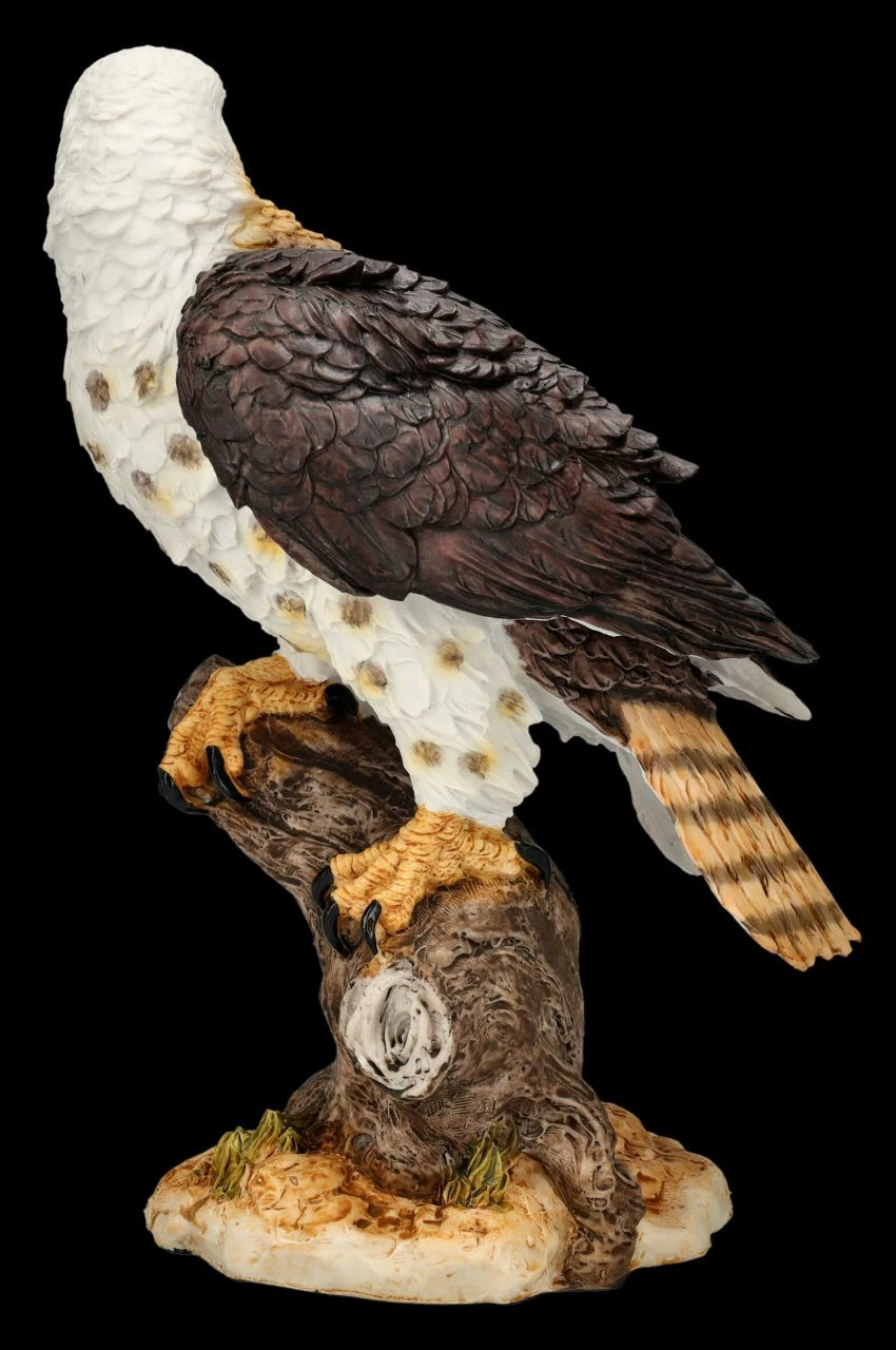 Adler Figur - Ruhe Vor Der Jagd 7 Adler Figur - Ruhe Vor Der Jagd – Bild 5