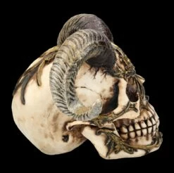 Totenkopf Figur Mit Hörnern - Diablo Skull -FIGUREN Verkäufe FS26190 Totenkopf Figur mit H rnern Diablo Skull 8 1280x1280