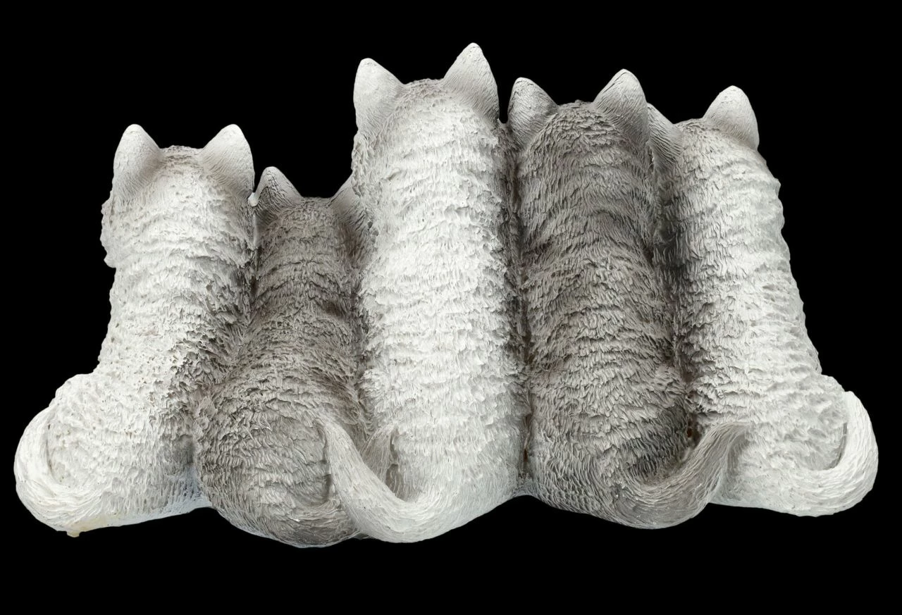 Wolf Figur - Fünf Niedliche Polarwolf-Welpen 7 Wolf Figur - Fünf Niedliche Polarwolf-Welpen – Bild 5