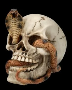 Totenkopf Figur - Kobra Schädel -FIGUREN Verkäufe FS26522 Totenkopf Figur Kobra Sch del 2 1280x1280