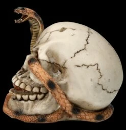 Totenkopf Figur - Kobra Schädel -FIGUREN Verkäufe FS26522 Totenkopf Figur Kobra Sch del 4 1280x1280