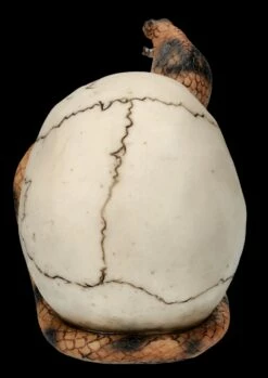 Totenkopf Figur - Kobra Schädel -FIGUREN Verkäufe FS26522 Totenkopf Figur Kobra Sch del 6 1280x1280