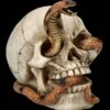 Totenkopf Figur - Kobra Schädel