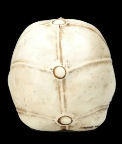 Alien Totenkopf - Extraterrestrischer Besucher Klein -FIGUREN Verkäufe FS26641 Aliwn Totenkopf Estraterrestrischer Besucher klein 6 1280x1280