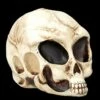 Alien Totenkopf - Extraterrestrischer Besucher Klein