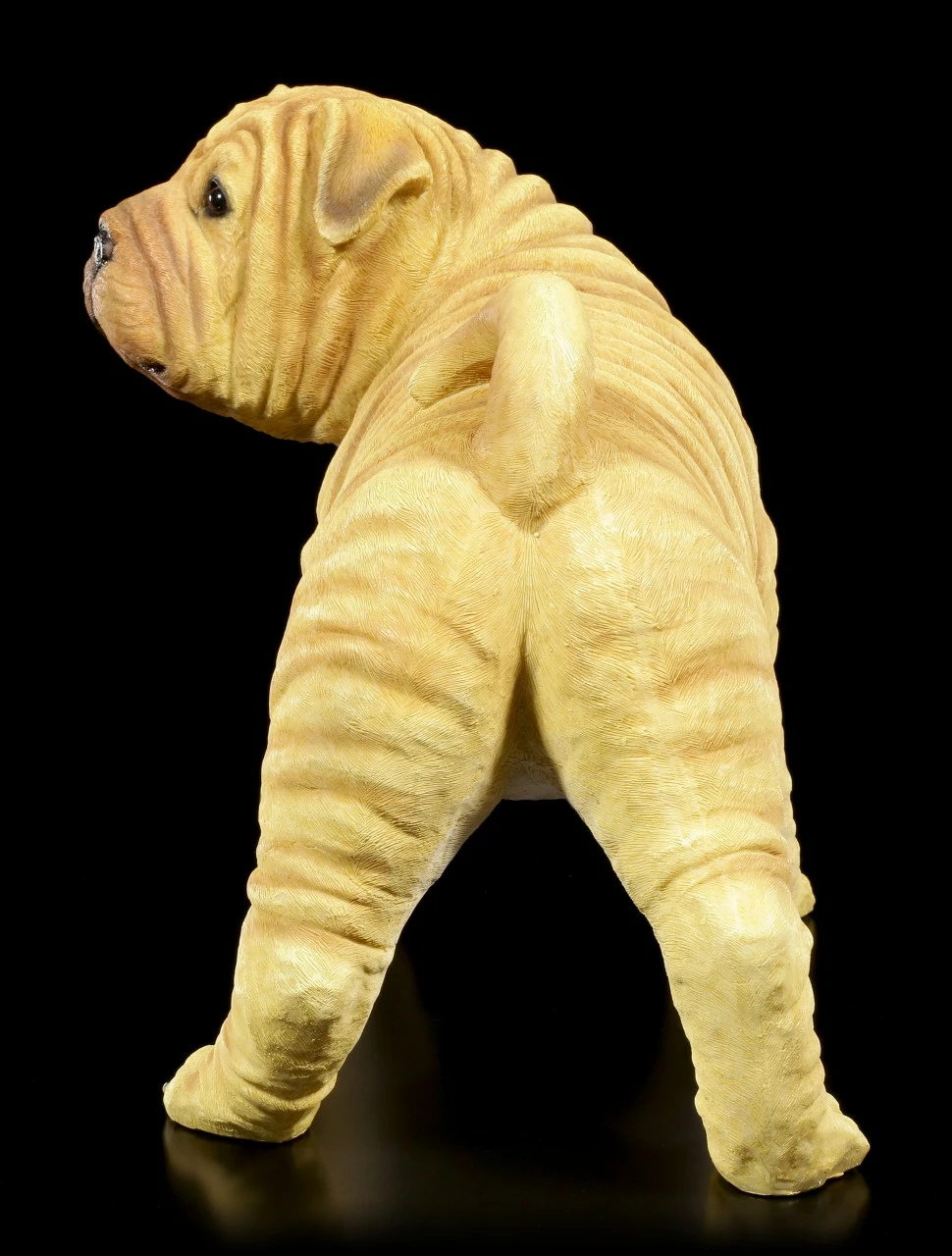 Gartenfigur Hund - Shar-Pei 5 Gartenfigur Hund - Shar-Pei – Bild 3