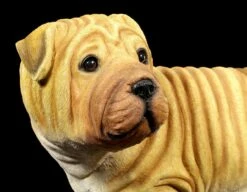 Gartenfigur Hund - Shar-Pei 13 Gartenfigur Hund - Shar-Pei -FIGUREN Verkäufe Gartenfigur Hund Shar Pei Stehend 5 1280x1280