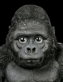 Gorilla Figur - Sitzend 15 Gorilla Figur - Sitzend -FIGUREN Verkäufe Gorilla Figur Sitzend 6 1280x1280
