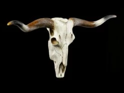 Großes Wandrelief - Büffel Schädel -FIGUREN Verkäufe Grosser Wandrelief Bueffel Schaedel 1 1280x1280