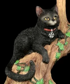 NEMESIS NOW Hexen Katze - Onyx Auf Baum 20 NEMESIS NOW Hexen Katze - Onyx Auf Baum -FIGUREN Verkäufe Hexen Katze Onyx 8 1280x1280
