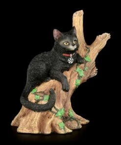 NEMESIS NOW Hexen Katze - Onyx Auf Baum