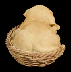 Hund In Körbchen Figur - Labrador 10 Hund In Körbchen Figur - Labrador -FIGUREN Verkäufe Hund In Koerbchen Labrador 2 1280x1280