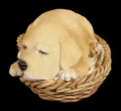 Hund In Körbchen Figur - Labrador 12 Hund In Körbchen Figur - Labrador -FIGUREN Verkäufe Hund In Koerbchen Labrador 4 1280x1280