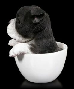 Hund In Tasse - Boston Terrier Welpe -FIGUREN Verkäufe Hund In Tasse Boston Terrier 2 1280x1280