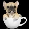 Hund In Tasse - Französische Bulldogge -FIGUREN Verkäufe Hund In Tasse Franzoesische Bulldogge 1 1280x1280