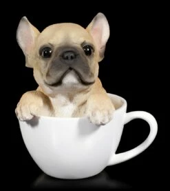 Hund In Tasse - Französische Bulldogge