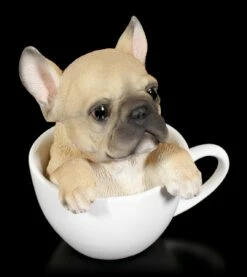 Hund In Tasse - Französische Bulldogge -FIGUREN Verkäufe Hund In Tasse Franzoesische Bulldogge 5 1280x1280