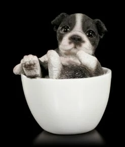 Hunde Figur Mini - Boston Terrier Welpe Tasse -FIGUREN Verkäufe Hund In Tasse Mini Boston Terrier Welpe 1 1280x1280