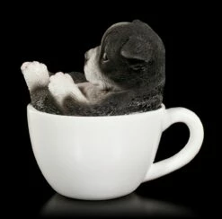 Hunde Figur Mini - Boston Terrier Welpe Tasse -FIGUREN Verkäufe Hund In Tasse Mini Boston Terrier Welpe 3 1280x1280