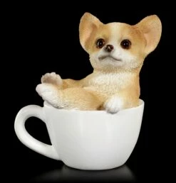 Hunde Figur Mini - Chihuahua Welpe In Tasse 8 Hunde Figur Mini - Chihuahua Welpe In Tasse -FIGUREN Verkäufe Hund In Tasse Mini Chihuahua Welpe 1280x1280