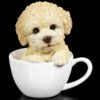 Hund In Tasse - Pudel Welpe 2 Hund In Tasse - Pudel Welpe -FIGUREN Verkäufe Hund In Tasse Pudel 1 1280x1280