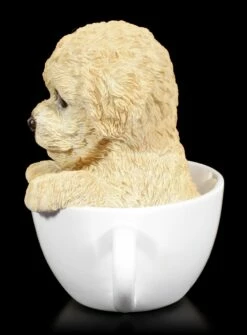 Hund In Tasse - Pudel Welpe -FIGUREN Verkäufe Hund In Tasse Pudel 2 1280x1280