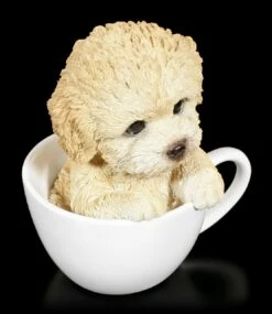 Hund In Tasse - Pudel Welpe -FIGUREN Verkäufe Hund In Tasse Pudel 5 1280x1280