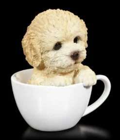 Hund In Tasse - Pudel Welpe -FIGUREN Verkäufe Hund In Tasse Pudel 1280x1280