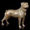 Hunde Figur - Rottweiler Stehend -FIGUREN Verkäufe Hund Rottweiler 1280x1280