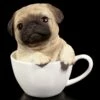 Hunde Figur - Mops Welpe In Tasse -FIGUREN Verkäufe Hunde Figur Mops In Tasse 1280x1280