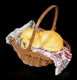 Hunde Figur Schlafend Im Körbchen 7 Hunde Figur Schlafend Im Körbchen -FIGUREN Verkäufe Hunde Figur Schlafend Im Koerbchen 1280x1280