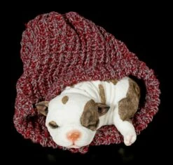 Hunde Figur Schlafend In Roter Mütze -FIGUREN Verkäufe Hunde Figur Schlafend In Roter Muetze Eingewickelt 1 1280x1280