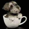 Hunde Figur - Schnauzer Welpe In Tasse -FIGUREN Verkäufe Hunde Figur Schnauzer In Tasse 1280x1280