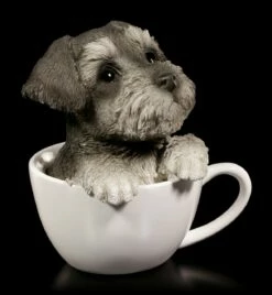 Hunde Figur - Schnauzer Welpe In Tasse