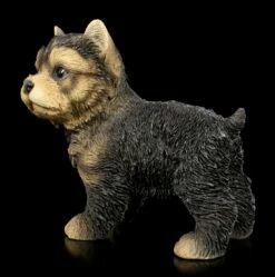 Hunde Figur - Yorkshire Terrier Welpe Stehend -FIGUREN Verkäufe Hunde Figur Yorkshire Terrier Welpe Stehend 1 1280x1280