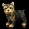 Hunde Figur - Yorkshire Terrier Welpe Stehend -FIGUREN Verkäufe Hunde Figur Yorkshire Terrier Welpe Stehend 2 1280x1280