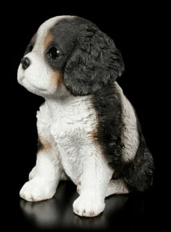 Hunde Welpen Figur - Cavalier King Charles Spaniel 9 Hunde Welpen Figur - Cavalier King Charles Spaniel -FIGUREN Verkäufe Hunde Welpen Figur Cavalier King Charles Spaniel 2 1280x1280
