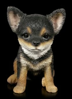 Hunde Welpen Figur - Chihuahua -FIGUREN Verkäufe Hunde Welpen Figur Chihuahua 1 1280x1280