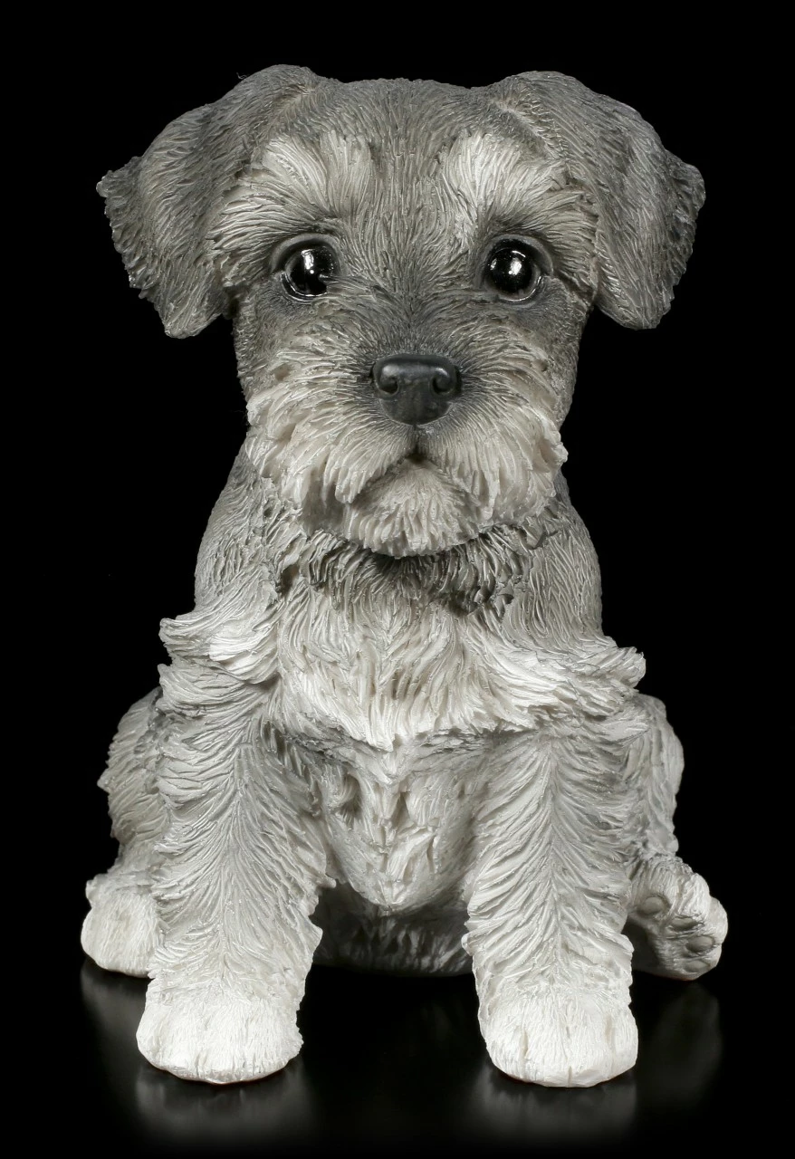 Hunde Welpen Figur - Zwergschnauzer 4 Hunde Welpen Figur - Zwergschnauzer – Bild 2