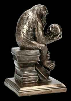 Affe Mit Schädel - Hugo Rheinhold -FIGUREN Verkäufe KS3216 Affe mit Schaedel Hugo Rheinhold 6 1280x1280