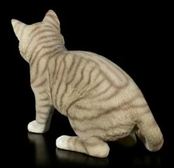 Katzen Figur - Amerikanisch Kurzhaar 9 Katzen Figur - Amerikanisch Kurzhaar -FIGUREN Verkäufe Katzen Figur Amerikanisch Kurzhaar 2 1280x1280