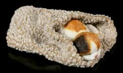 Katzen Figur Schlafend In Graue Decke Eingewickelt 10 Katzen Figur Schlafend In Graue Decke Eingewickelt -FIGUREN Verkäufe Katzen Figur Schlafend In Graue Decke Eingewickelt 2 1280x1280