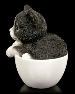 Katzen Figur - Schwarz-weißes Kätzchen In Tasse 10 Katzen Figur - Schwarz-weißes Kätzchen In Tasse -FIGUREN Verkäufe Katzen Figur Schwarz Weisses Kaetzchen In Tasse 3591d59b7ba58e 1280x1280