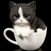 Katzen Figur - Schwarz-weißes Kätzchen In Tasse 2 Katzen Figur - Schwarz-weißes Kätzchen In Tasse -FIGUREN Verkäufe Katzen Figur Schwarz Weisses Kaetzchen In Tasse591d59a4b3fd9 1280x1280