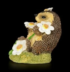 Lustige Igel Figur Mit Gänseblümchen - Blumenzauber -FIGUREN Verkäufe Lustiger Igel Gaensebluemchen 3 1280x1280